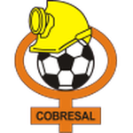 Escudo Cobresal