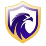 Escudo Falcon
